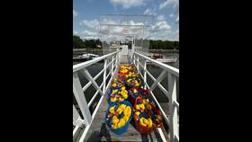 Toy ducks in buckets ready for race