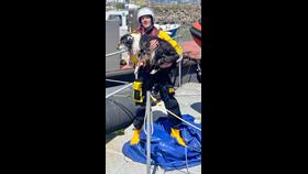 Pic shows a lifeboatman holding a dog