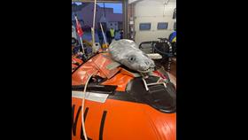 Inflatable Seal placed on Withernsea's D-Class Lifeboat