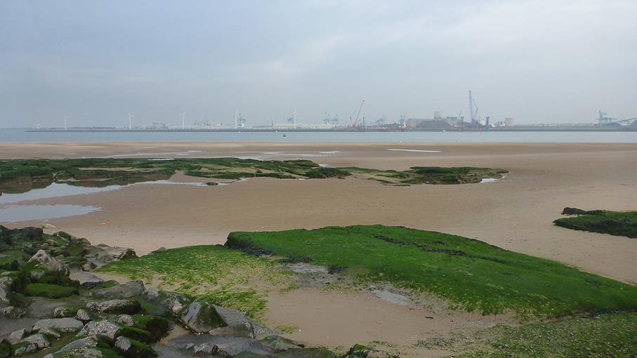 Perch Rock Beach near Liverpool in Merseyside is an RNLI lifeguarded beach.