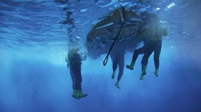 Underwater shot of crew training in the sea survival pool at RNLI College